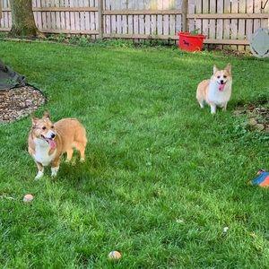 Bundle up and save for a discount!!!